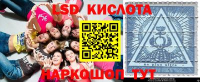 стаф Краснодар