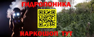 гидропоника Краснознаменск