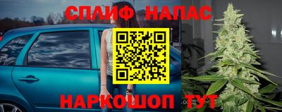 стаф Краснодар