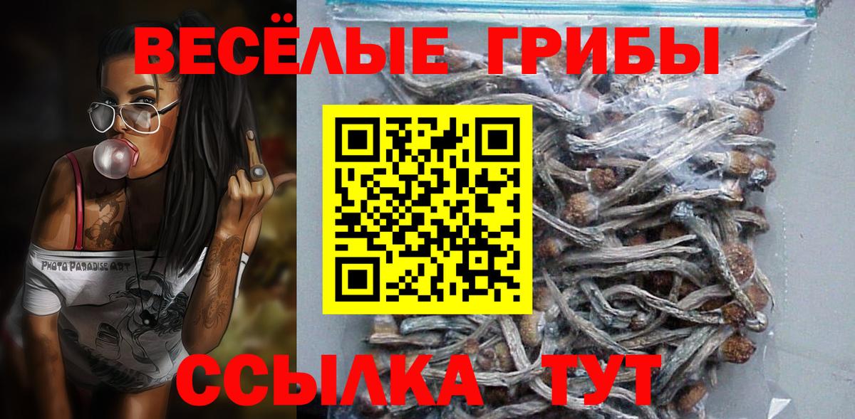 Псилоцибиновые грибы GOLDEN TEACHER Керчь