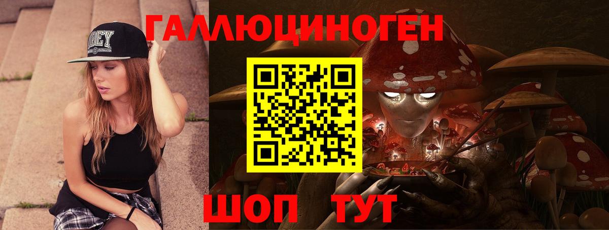 Керчь  Псилоцибиновые грибы Psilocybe  Вход с VPN  Псилоцибиновые грибы прущие грибы 